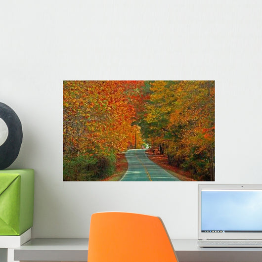 Fall Highway Wall Decal