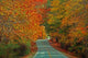 Fall Highway Wall Decal