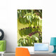 coffee Wall Mural
