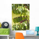 coffee Wall Mural
