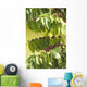 coffee Wall Mural
