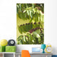 coffee Wall Mural