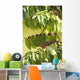 coffee Wall Mural