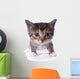 Kitty Wall Mural