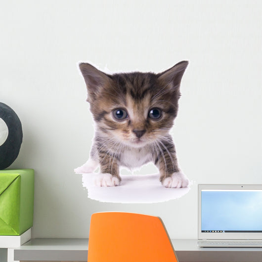 Kitty Wall Mural