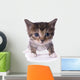 Kitty Wall Mural