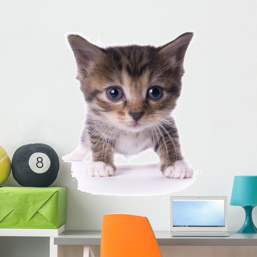 Kitty Wall Mural