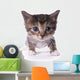 Kitty Wall Mural