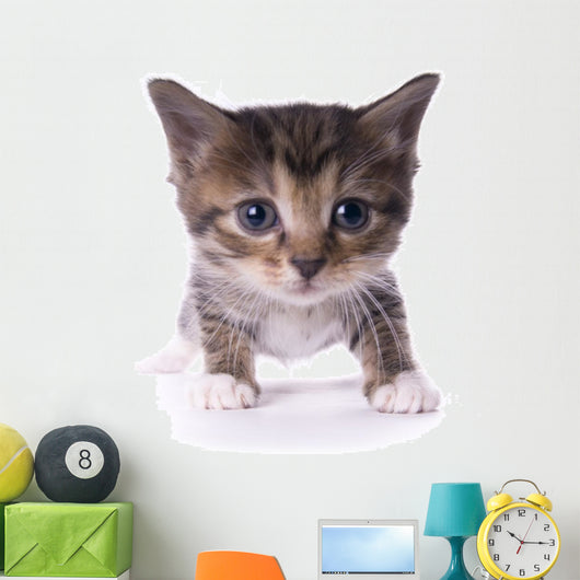 Kitty Wall Mural