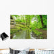 Picturesque Park
