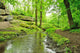Picturesque Park