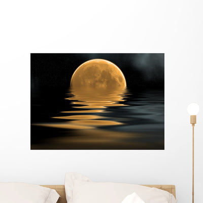 Moon Reflection Wall Mural shown on a wall