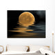 Moon Reflection Wall Mural