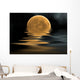 Moon Reflection Wall Mural