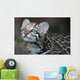 Ocelot