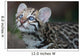 Ocelot