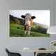 Cows Wall Mural
