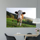 Cows Wall Mural