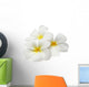 Tropical Flowers Frangipani Plumeria Isolated on White Wall Decal