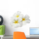Tropical Flowers Frangipani Plumeria Isolated on White Wall Decal