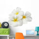 Tropical Flowers Frangipani Plumeria Isolated on White Wall Decal