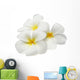 Tropical Flowers Frangipani Plumeria Isolated on White Wall Decal