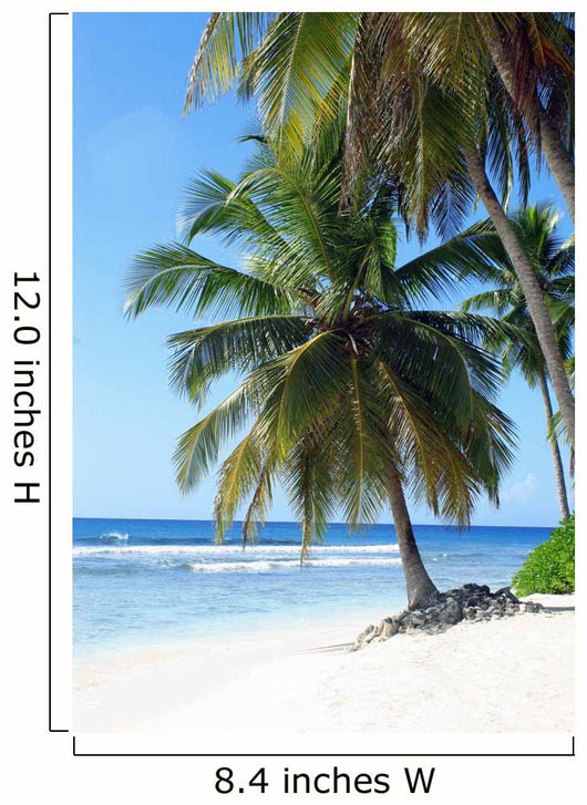 palm trees on tropical island beach Wall Mural