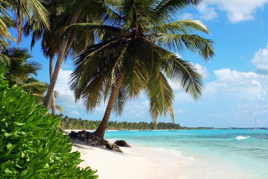 Tropical Island Beach With Palm Trees Wall Mural