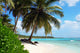 Tropical Island Beach With Palm Trees Wall Mural