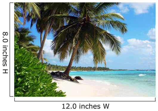 Tropical Island Beach With Palm Trees Wall Mural