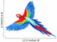 Flying Parrot Wall Decal