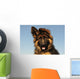 Puppy German Shepherd