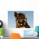 Puppy German Shepherd