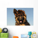 Puppy German Shepherd