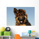 Puppy German Shepherd
