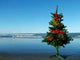 Christmas Tree Beach Wall Decal