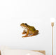 Small Green Frog White