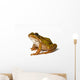 Small Green Frog White