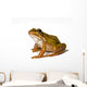 Small Green Frog White