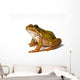 Small Green Frog White