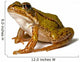 Small Green Frog White