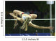 High Jump Wall Mural