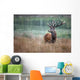 deer hunting deer slab wood forest horn mammal proud king s Wall Mural