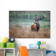 deer hunting deer slab wood forest horn mammal proud king s Wall Mural