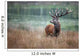 deer hunting deer slab wood forest horn mammal proud king s Wall Mural