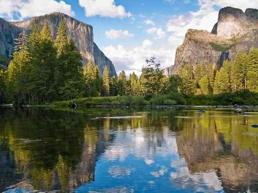 Yosemite National Park Wall Decal