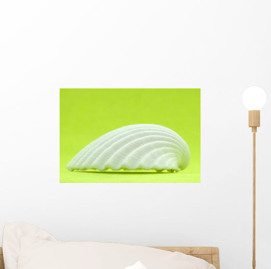 Shell