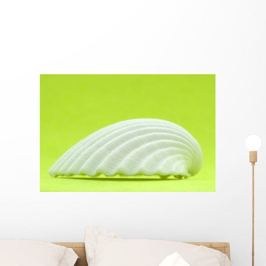 Shell