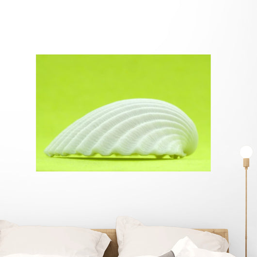 Shell
