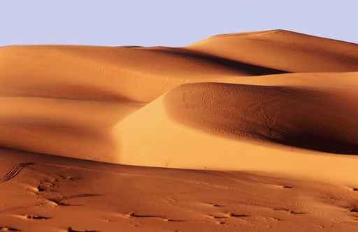 Dune Di Sabbia Wall Decal